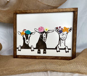 Fancy Goats