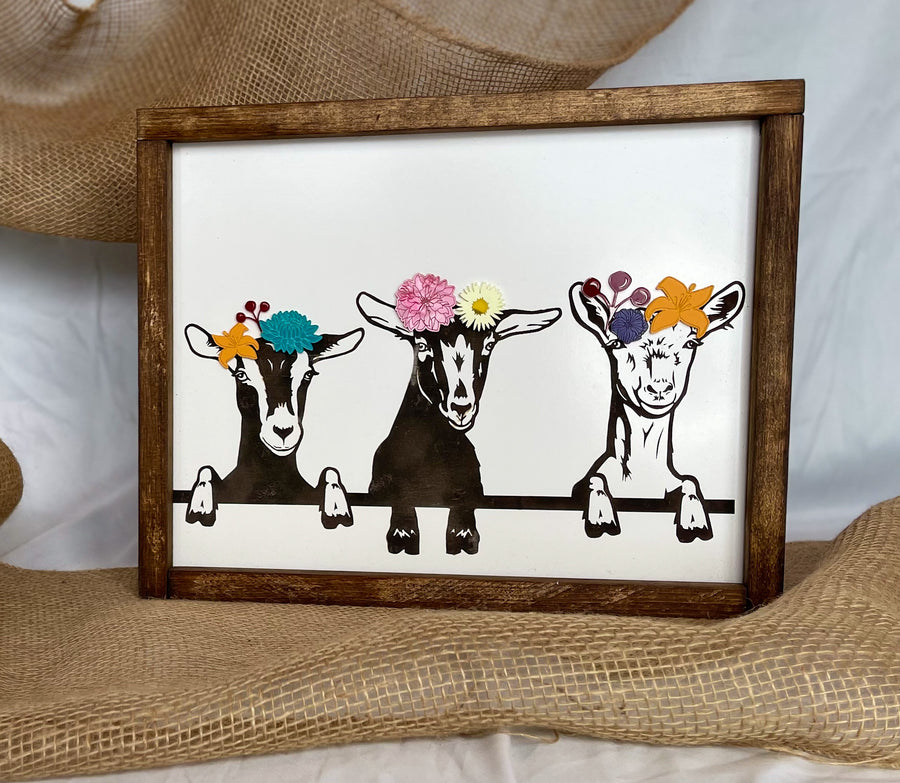 Fancy Goats