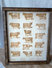 Cow Breeds
