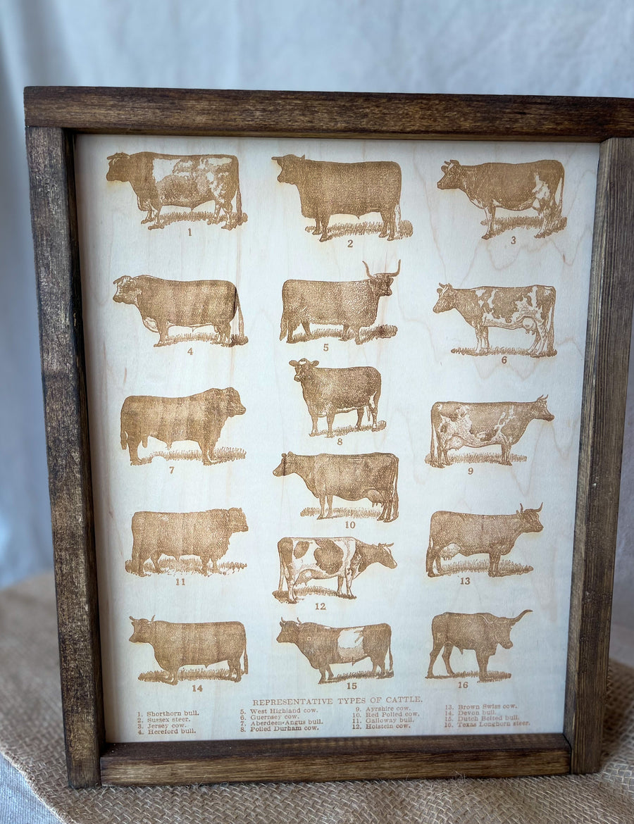 Cow Breeds