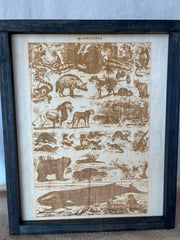 Mammals Engraving
