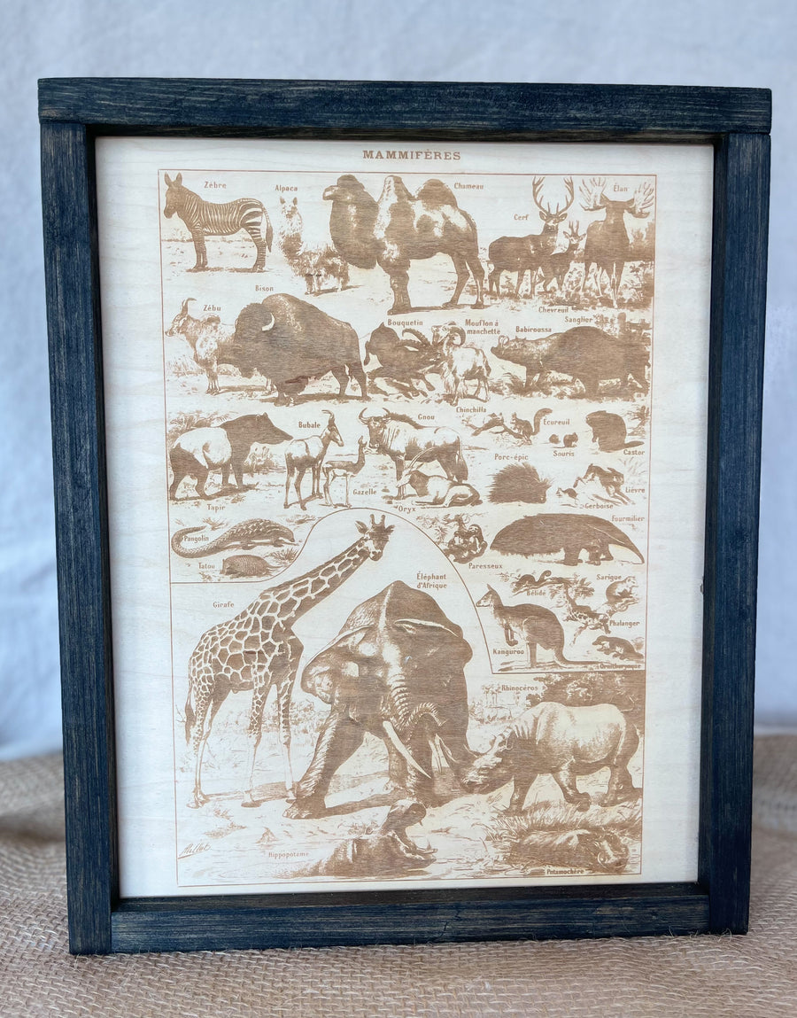 Mammals Engraving