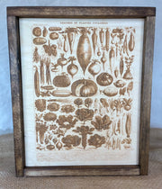 Vintage Vegetable Engraving